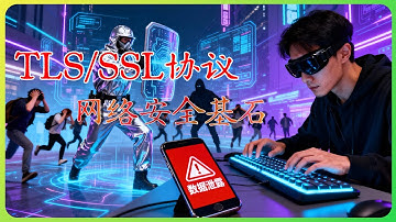 简单说TLS/SSL协议的作用，网络银行，政府机构的安全盾牌
