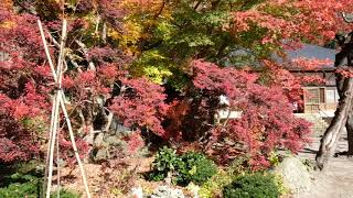 Amazing Zen Garden Autumn Colors On The Hike Up To Yamadera Temple