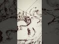 #hairart  #marilynmonroe #髪の毛アート #shorts #マリリンモンロー #shorts  #shortvideo