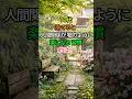 🌿 70代、捨てると人間関係が嘘のように楽になる習慣 TOP3 ✨