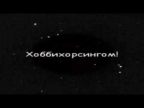 Есть люди, которые занимаются хоббихорсингом