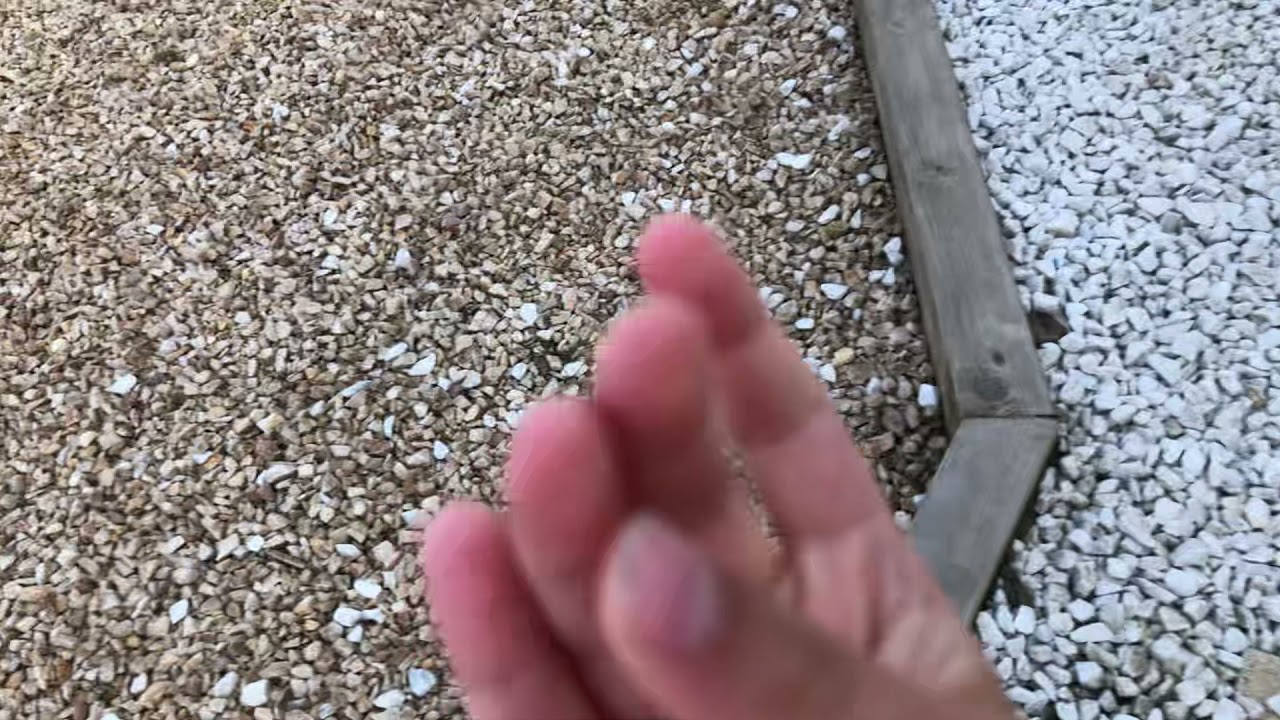 Kis S4 P2 Sneak Peek