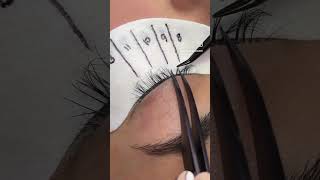 Lila Lash Factory Eps 322 Mindful & Demure Lash Set