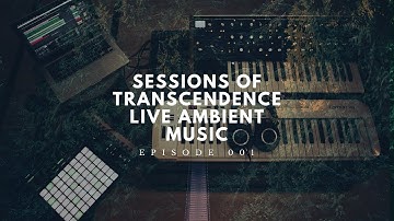 MOOG SUBSEQUENT 37 | ABLETON PUSH 2 LIVE PERFORMANCE