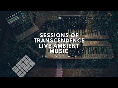 MOOG SUBSEQUENT 37 | ABLETON PUSH 2 LIVE PERFORMANCE