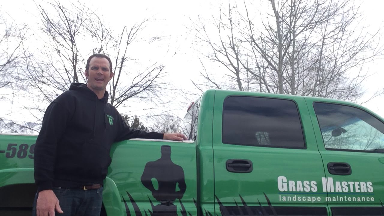 Professional Lawn Mowing Lawn Treatments Sprinkler Repair