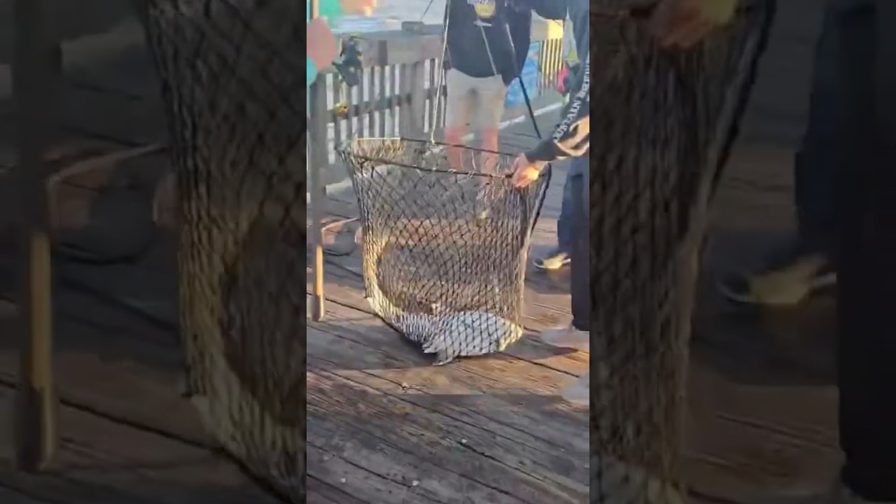 On A Tiny Island - What Kind Is It?