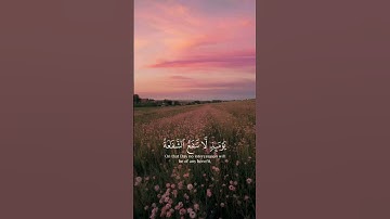 تلاوة مؤثرة وخاشعة خشوع يلامس القلب ويأخذك إلى عظمة القرآن الكريم  استمع بقلبك وتدبر معاني كلامالله
