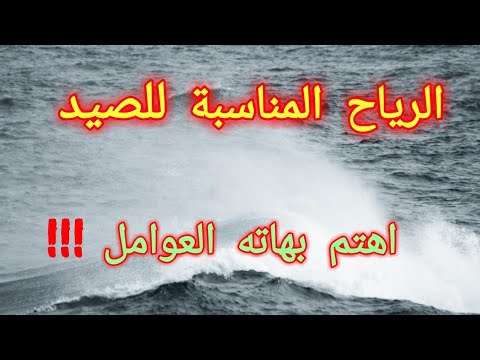 فيديو: في ظروف الرياح الصيد؟