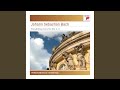 Miniature de la vidéo de la chanson Brandenburg Concerto No. 6 In B-Flat Major, Bwv 1051: Iii. Allegro