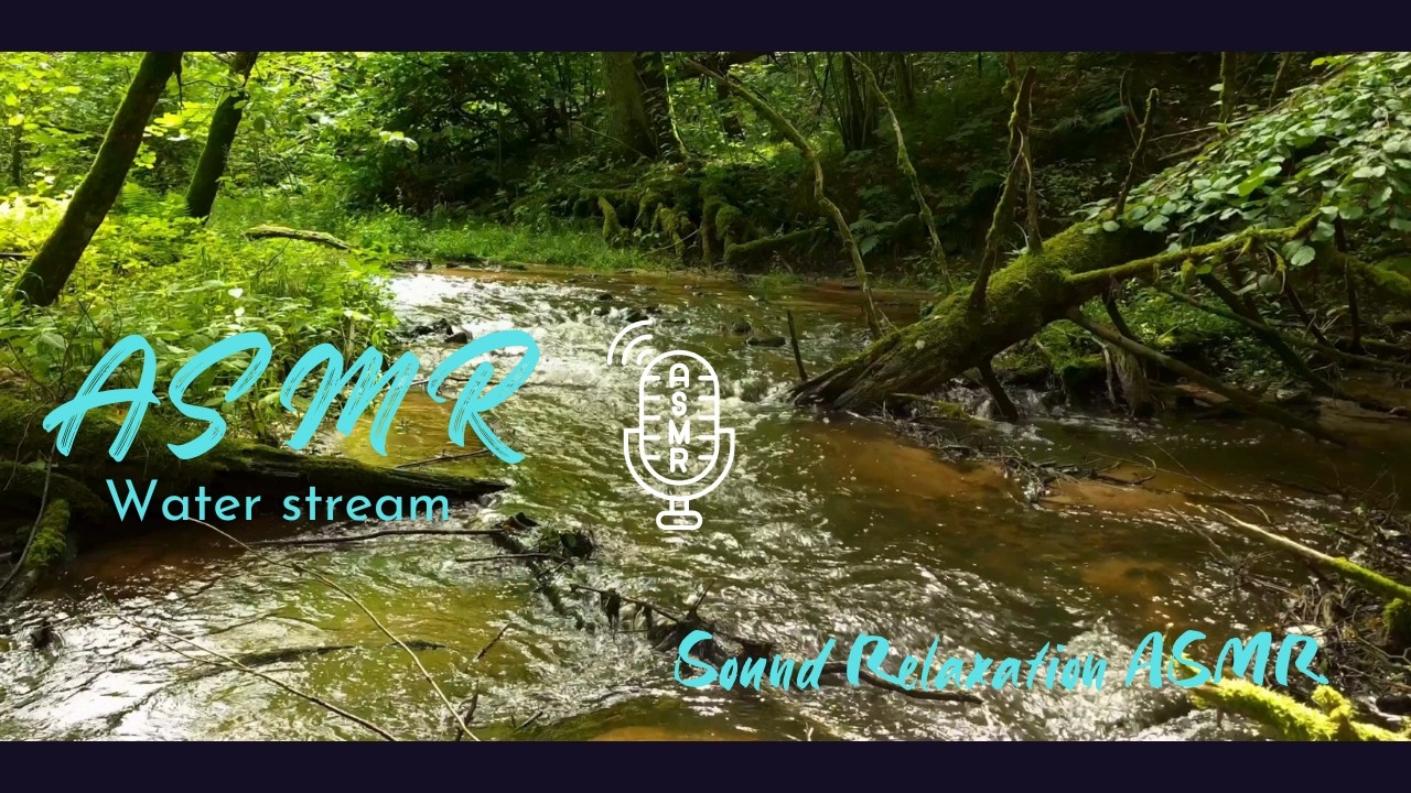 10 Hours of Forest Stream Sounds 🌿 Flowing Water for Deep Sleep & Relaxation