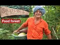 Krishna mckenzie organic farm visit  natural food forest grown in auroville  tamil nadu india