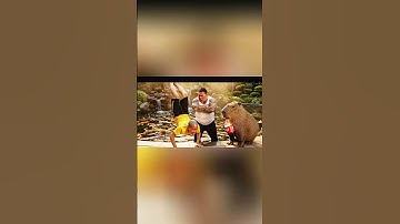 Hùng trọc học Capy đổ tài lộc quá lớn vào hồ cá #capybara