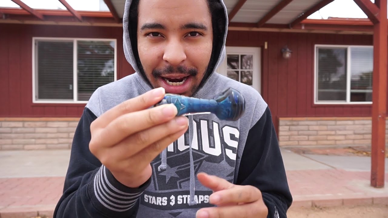 KING PALM MAGIC MINT SESSION