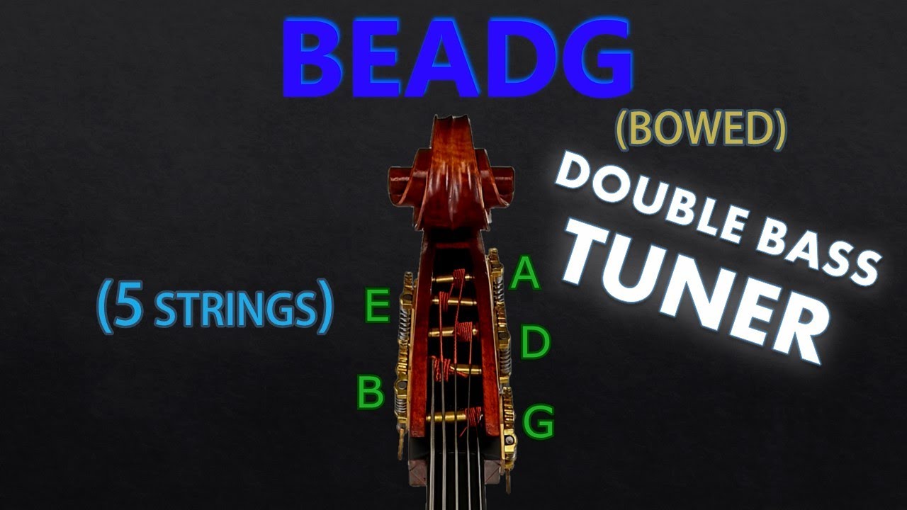 5 String Double Bass - BEADG Tuning (BOWED) (Tuner) 