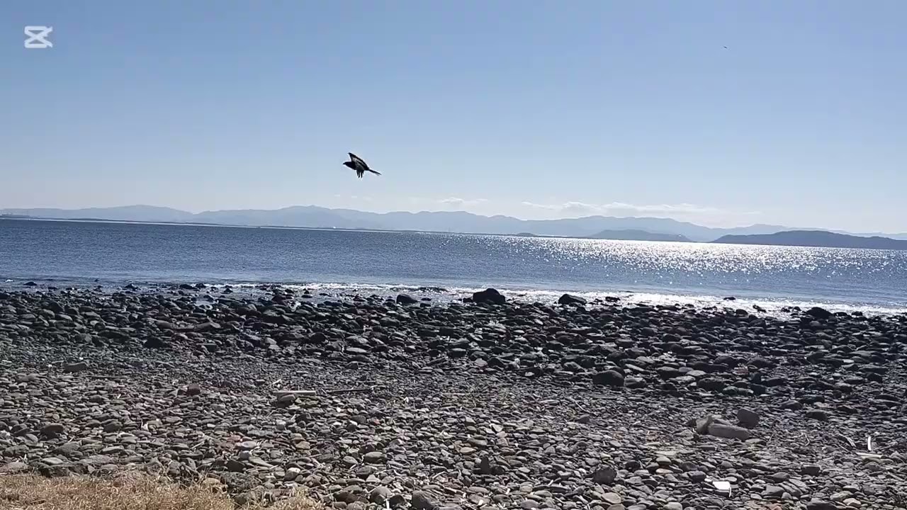 相島の浜辺　【睡眠導入用】