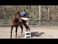 How To Get Your Horse To STAND At The Mounting Block