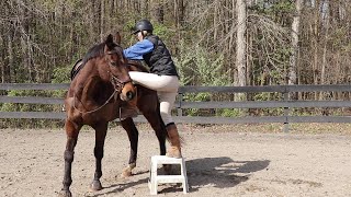 How To Get Your Horse To STAND At The Mounting Block