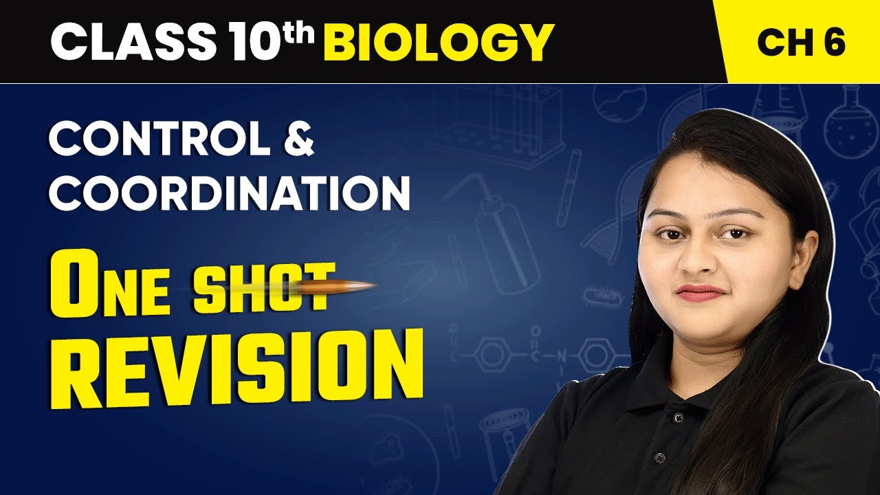 Control and Coordination - One Shot Revision | Class 10 Biology Chapter ...