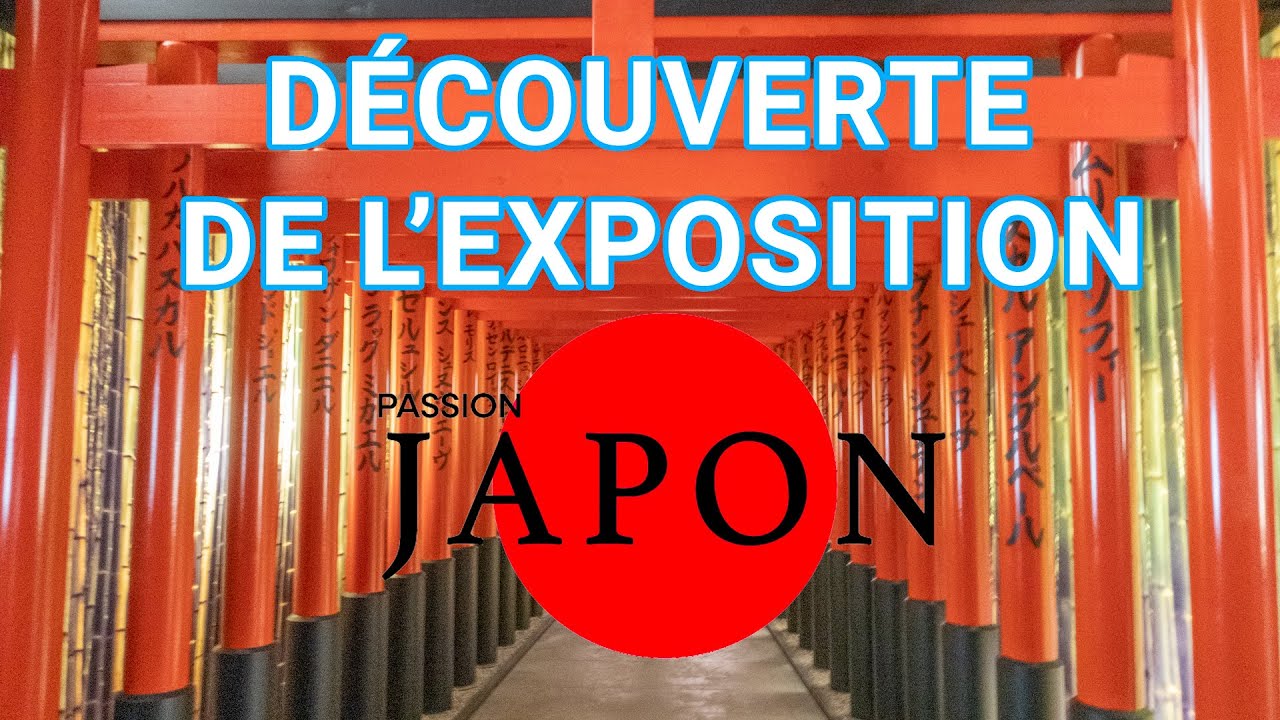 Exposition Passion Japon à la Sucrière à Lyon - YouTube