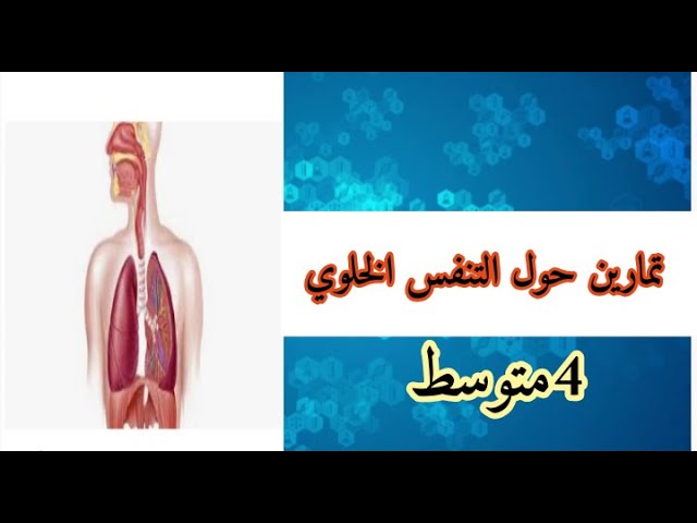 تمارين حول التنفس الخلوي رابعة متوسط