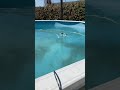 LBCC Underwater ROV for Robotics 230B