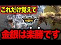 【武器はこれ!】金銀を一方的に倒せる武器を伝授します【モンハンNow】