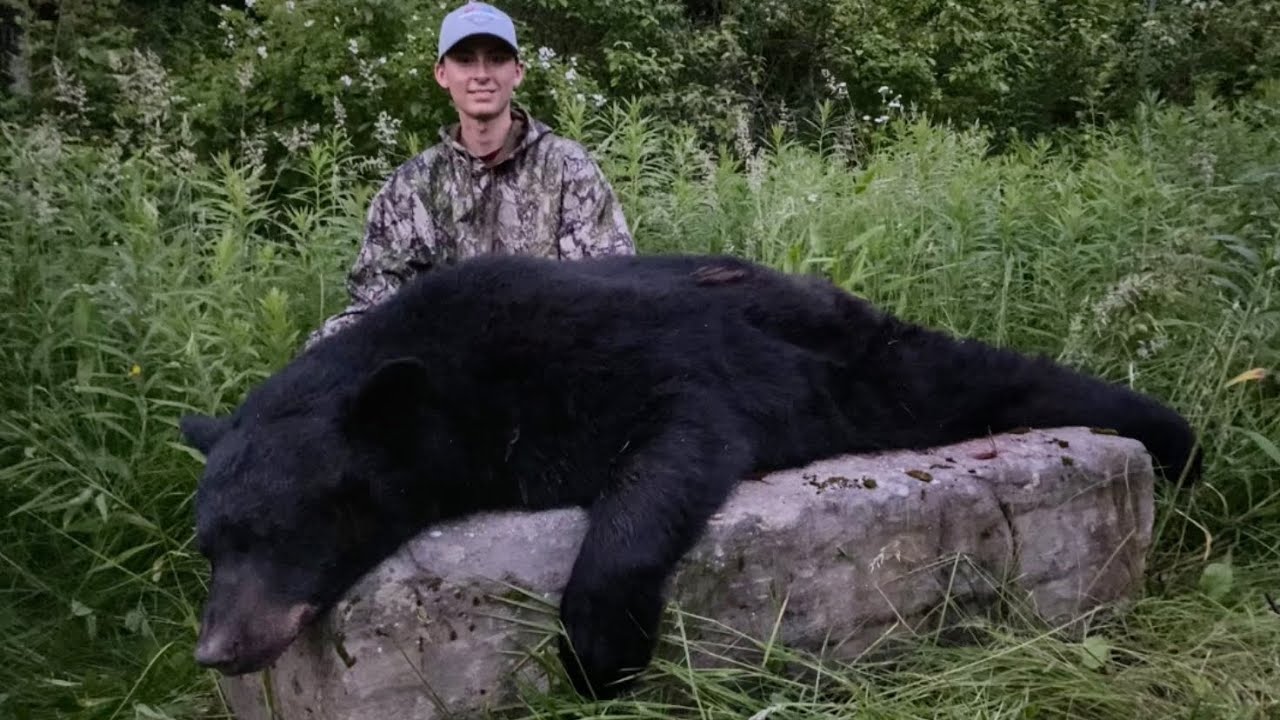 This Bear Did A Front Flip!! (20 Yard Shot) - YouTube