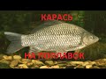 бешеный карась. оз.Уелги. открытие летнего сезона