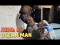 Rainbow Six Siege Uncensored. Лень #5 - Ocean Man