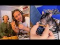 The kiffness ft kiff wife x veronica the rat on harmonica live looping dance mashup