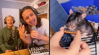 The Kiffness ft. Kiff Wife X Veronica (The Rat) on Harmonica [Live Looping Dance Mashup]