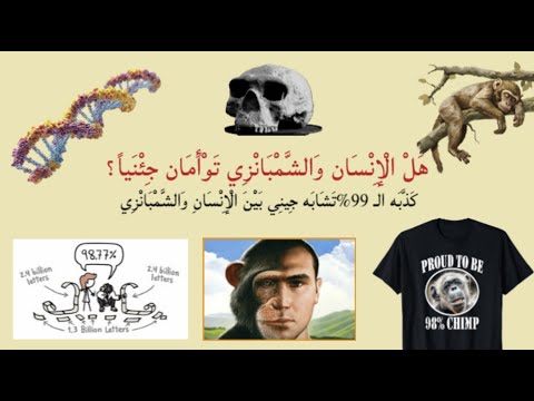 هل الإنسان والشمبانزي توأمان جيني ا ب 99 تشابه جيني اكتشف الكذبة التي خدعت العالم