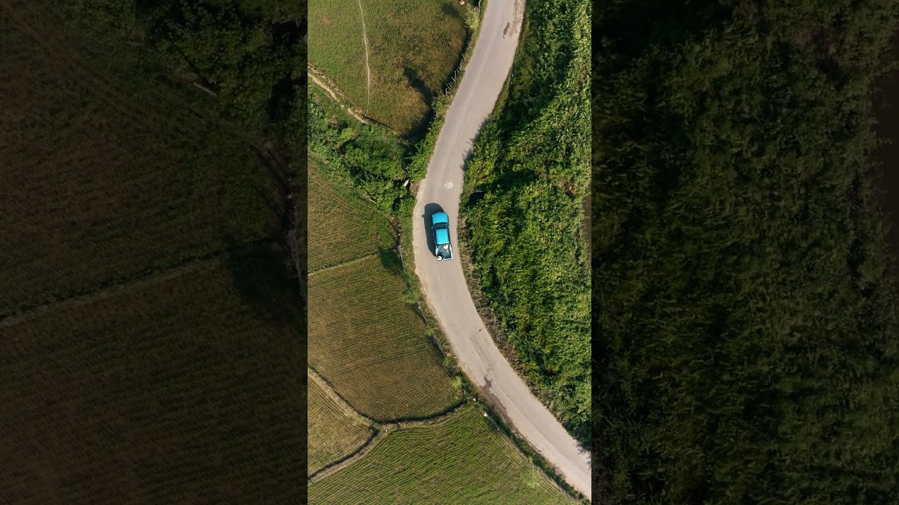Summertime car pool version 