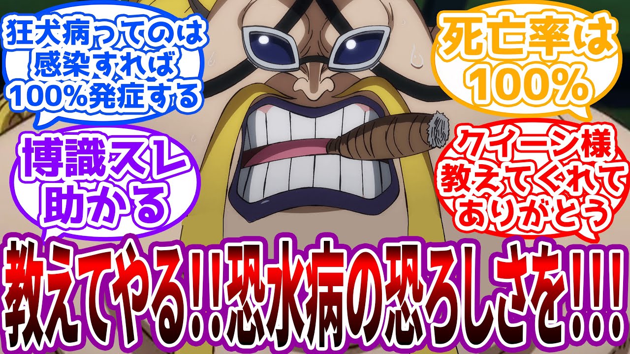 「イヌに限らず全ての哺乳類に感染し得る病気だ！！」狂犬病の危険性について語る有識者クイーン様に対する読者の反応集【ワンピース反応集】