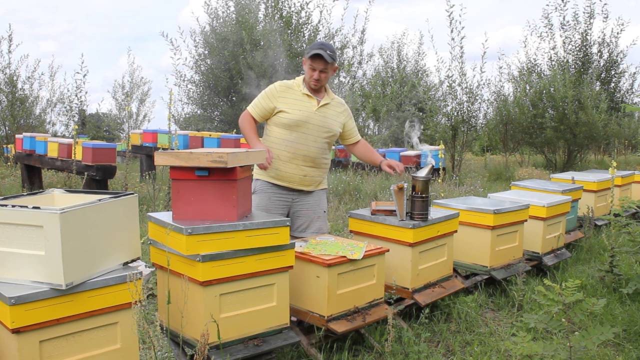 Prosty sposób na ogarnięcie trutówki