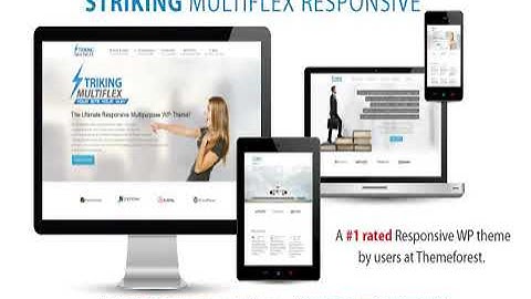 Striking - MultiFlex & Ecommerce Responsive WP Theme Full Download 2021