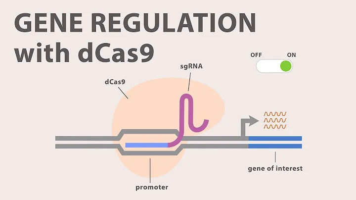 4) CRISPR Cas9 - Gene Regulation with dCas9