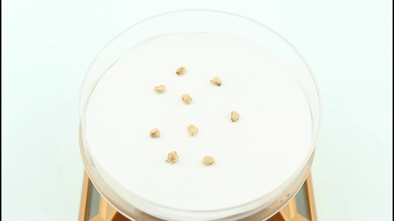 Семена гуавы / Psidium, ТМ OGOROD