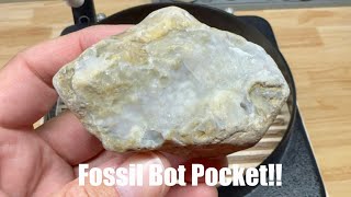 Fossils | Freeform Fridays | The Most Two Faced Fossil I’ve Ever Polished!!