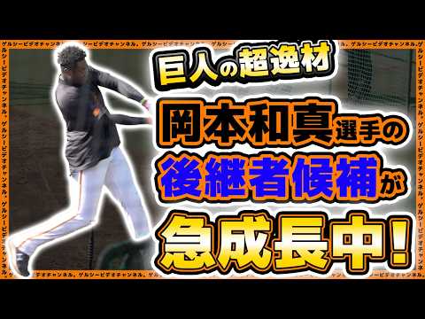 巨人の超逸材は岡本和真選手の後継者!?次期4番候補が急成長中!ティマ2024年ハイライト|読売ジャイアンツ球場|プロ野球ニュース