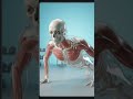 #ai #skeleton #2026 #hariini #terbaru #tutorial #informasi. script in bio, commentar or deskripsi.