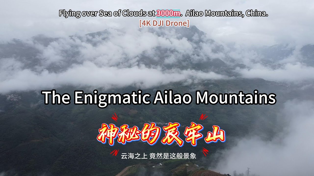 Flying over Sea of Clouds at 3000m! Ailao Mountains, China [4K DJI Drone]
