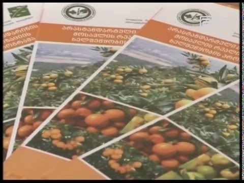 საქართველოს სოფლის მეურნეობის მინისტრმა ციტრუსის სეზონი შეაჯამა