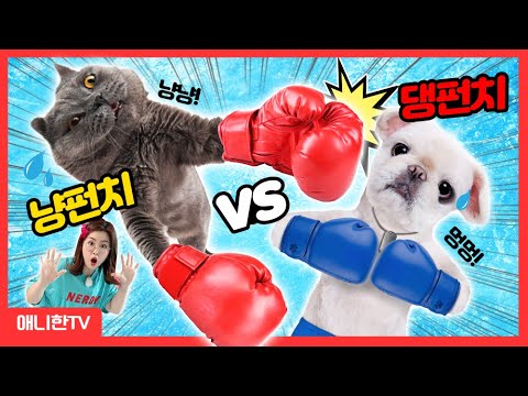 냥냥펀치 <strong>VS</strong> 댕댕펀치! 야옹펀치 게임 <strong>Cat</strong> <strong>VS</strong> Dog [애니한TV]