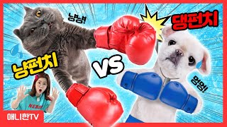 Meow Punch VS Dog Punch! Meow Punch Game Cat VS Dog [Anihan TV] screenshot 3