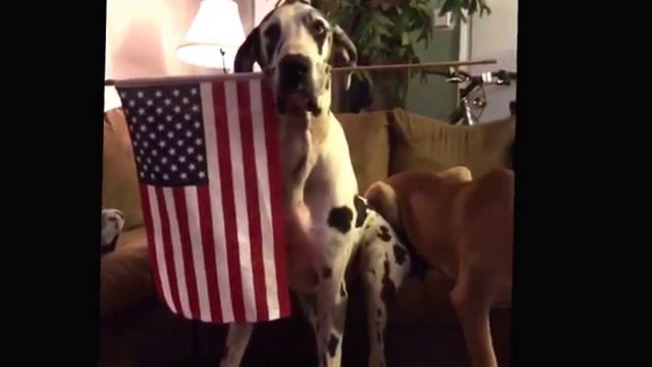 Happy Labor Day ❤️ love the four 