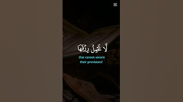 #قرآن 🤍 الذين صبروا#duet آيات بينات من الذكر الحكيم #دويتو تلاوة خاشعة #cute