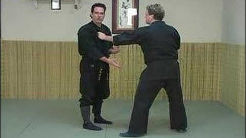 SCBudo.com -- Bujinkan -- Omote Gyaku