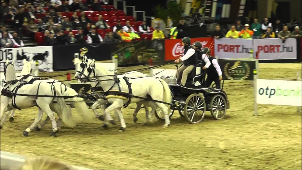 OTP Lovas Világkupa 2013 - CAI-W négyesfogathajtó-verseny